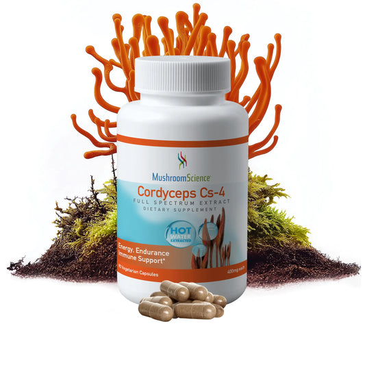 Mushroom Science Cordyceps CS-4 Capsules Full Spectrum Extract for Health Energy & Endurance Hot Water Extracted Vegetarian 400mg 90 CT