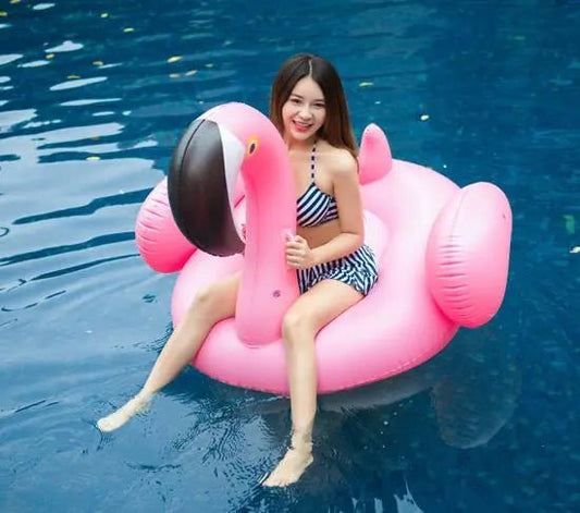 Inflatable Ride - On Swan and Flamingo Pool Float - Walter - Mall