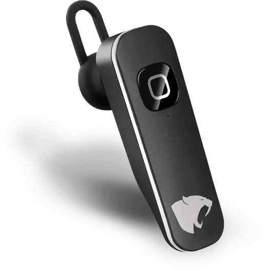 Smart Voice Language Translator - Walter - Mall